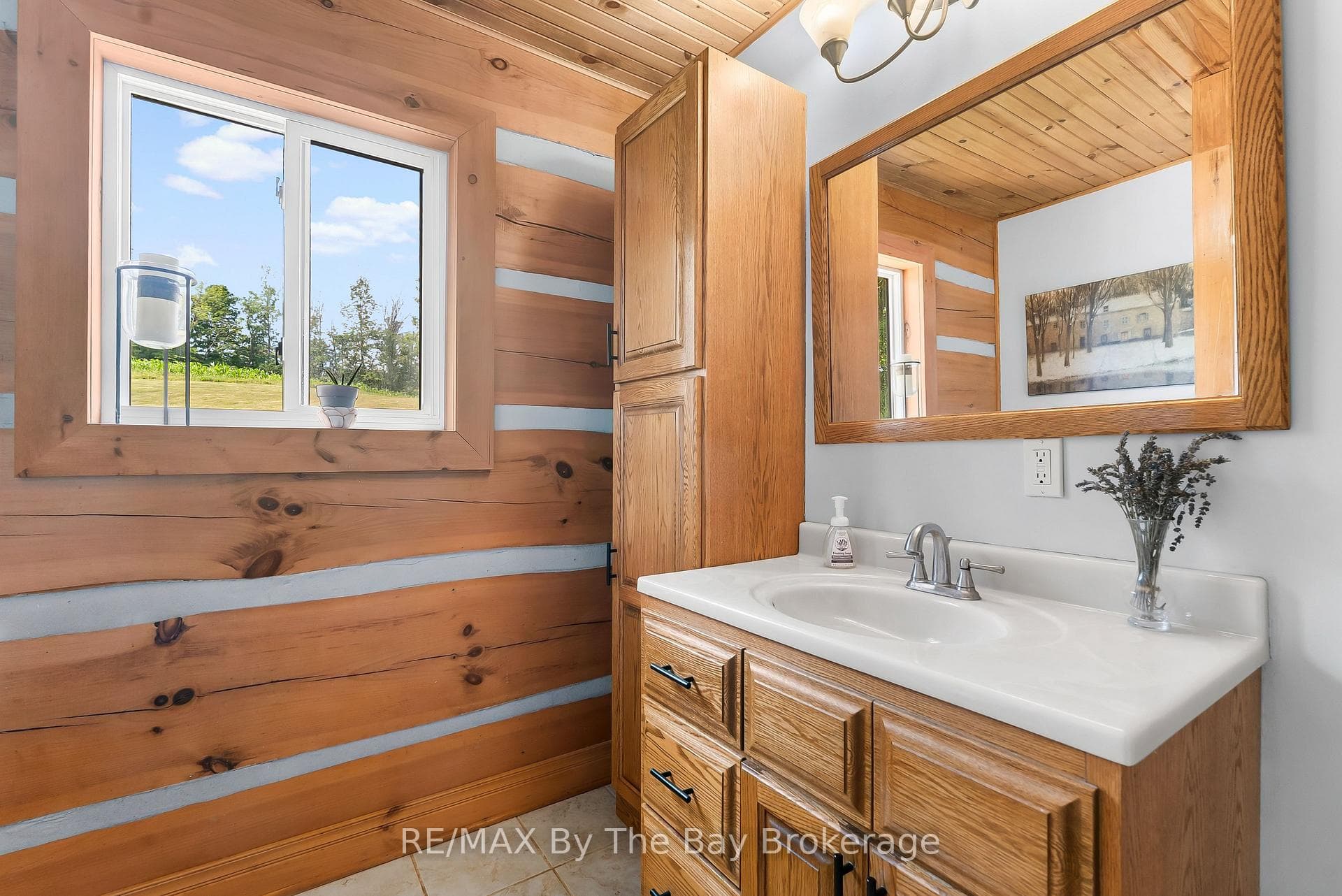 23467 Holland Sydenham Townline photo 10