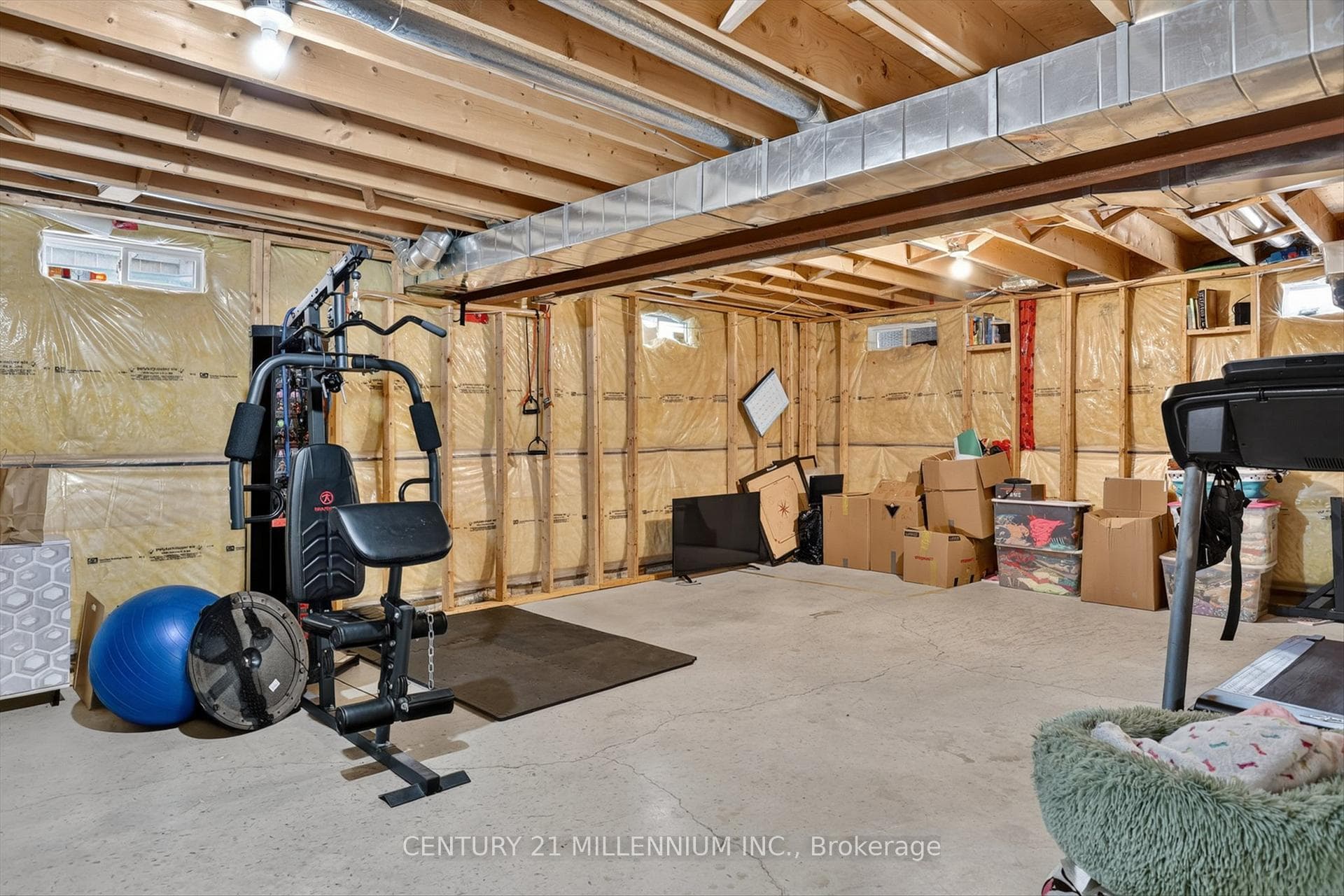 225 Lorne Court photo 30
