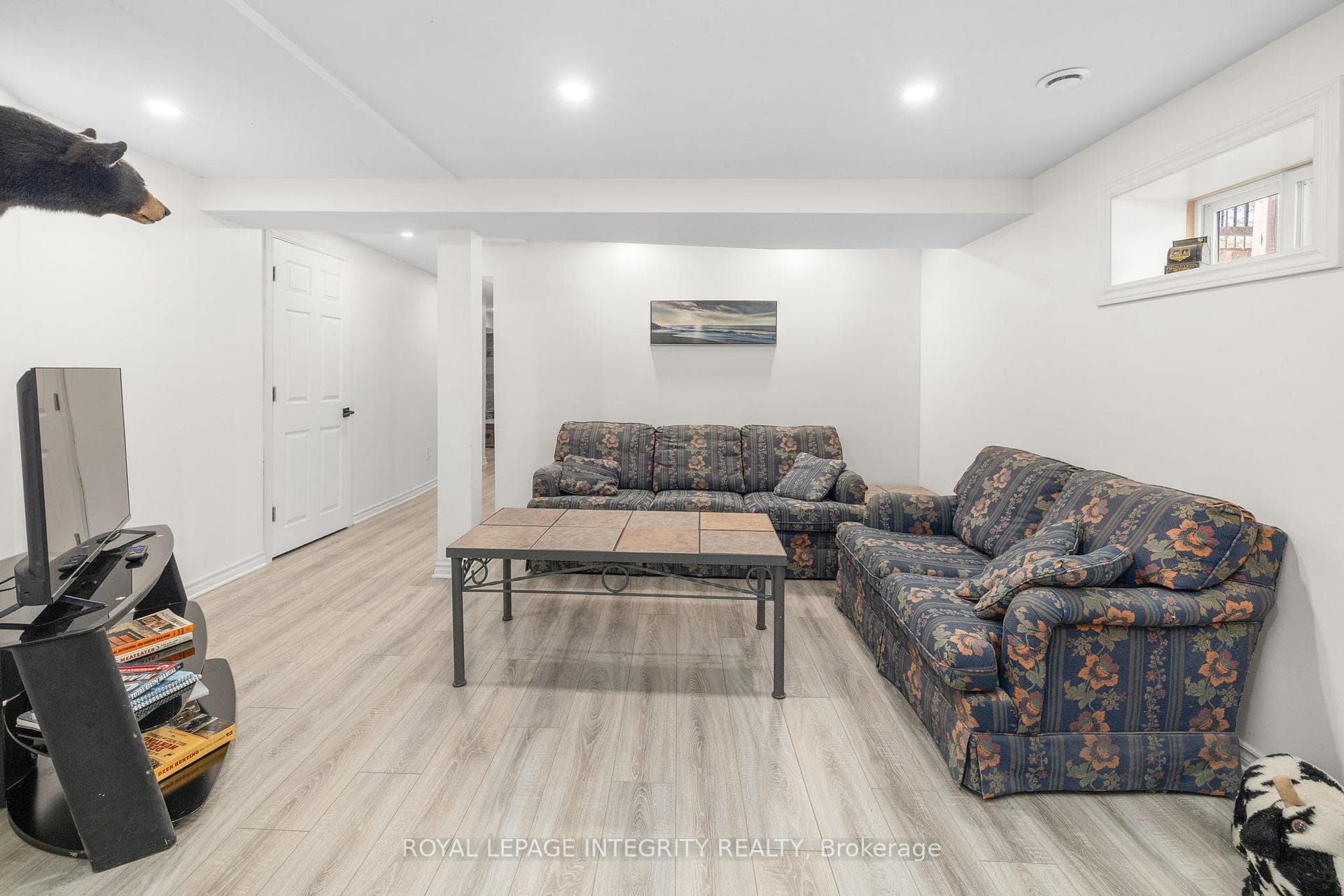 Lower Level Family Room