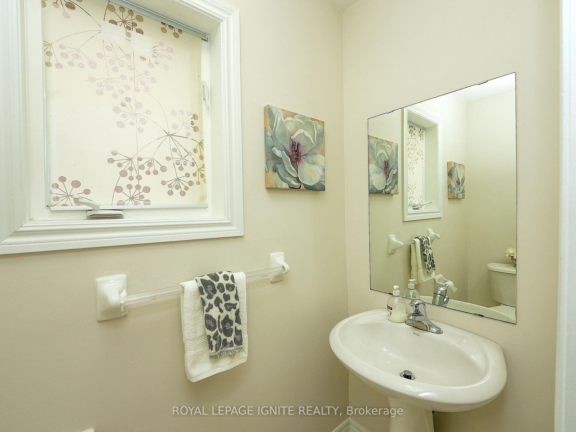 51 Harkness Drive photo 20