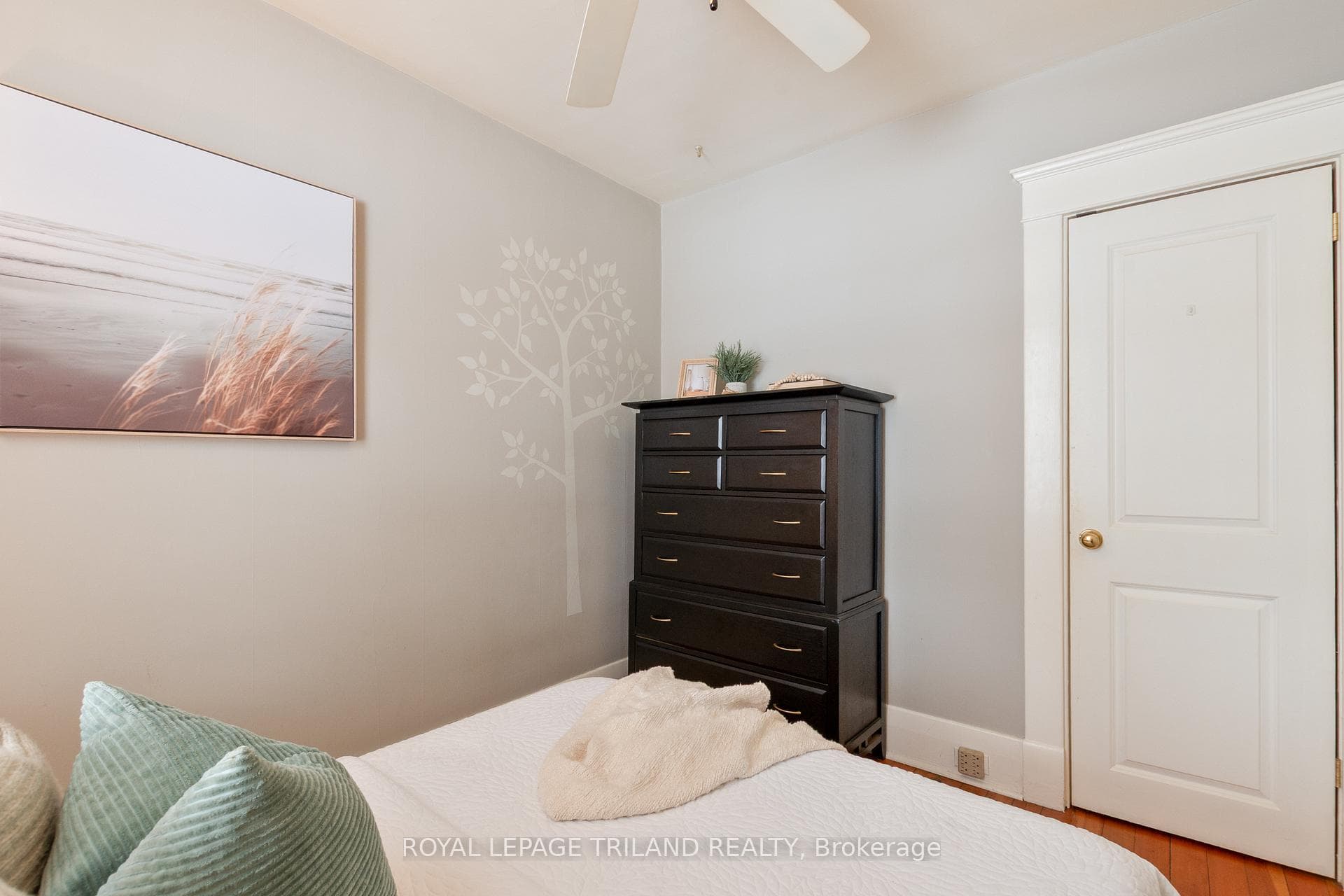 30 Elmwood Place photo 6