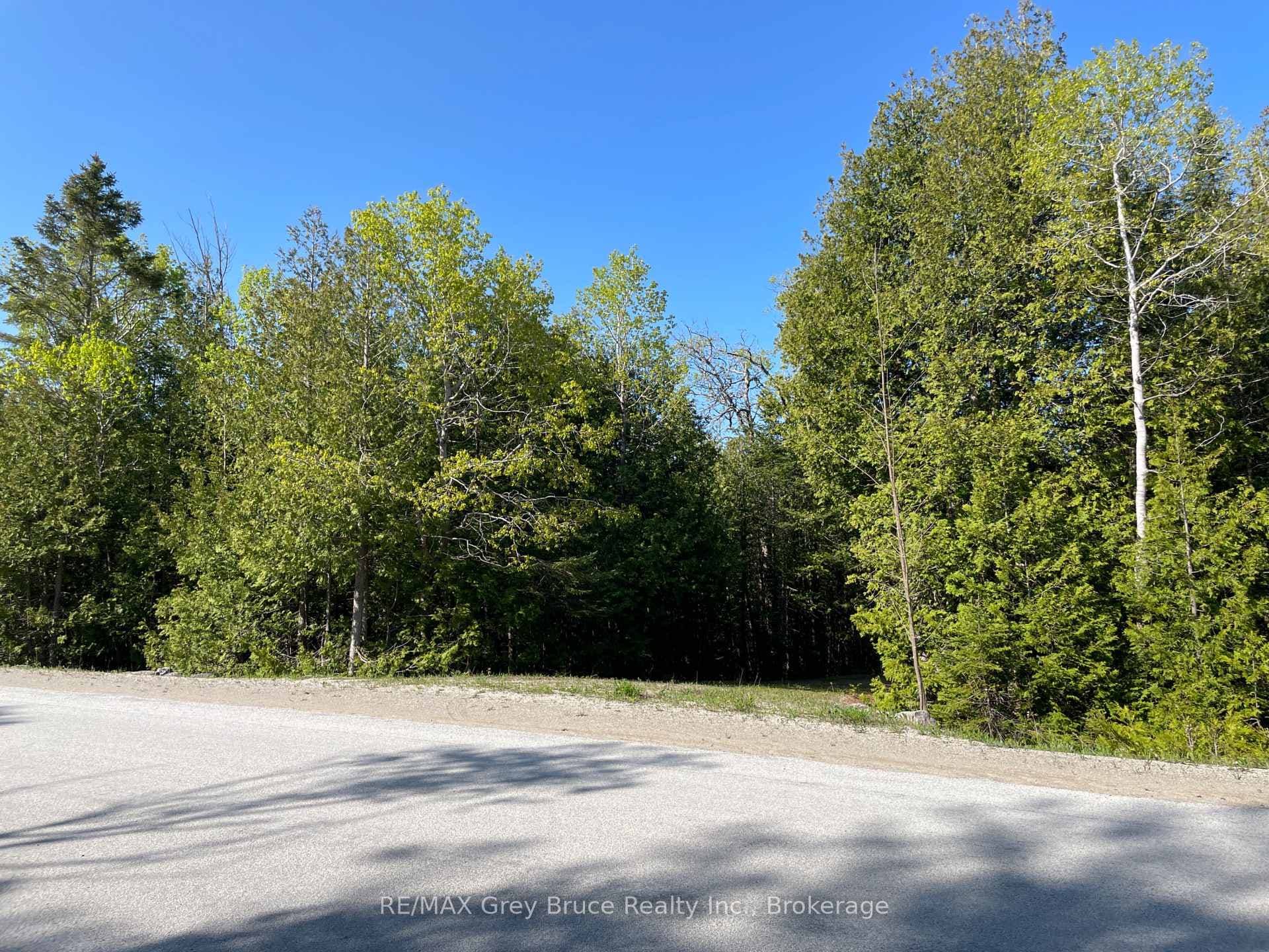 LOT 13 EAST Road photo 11