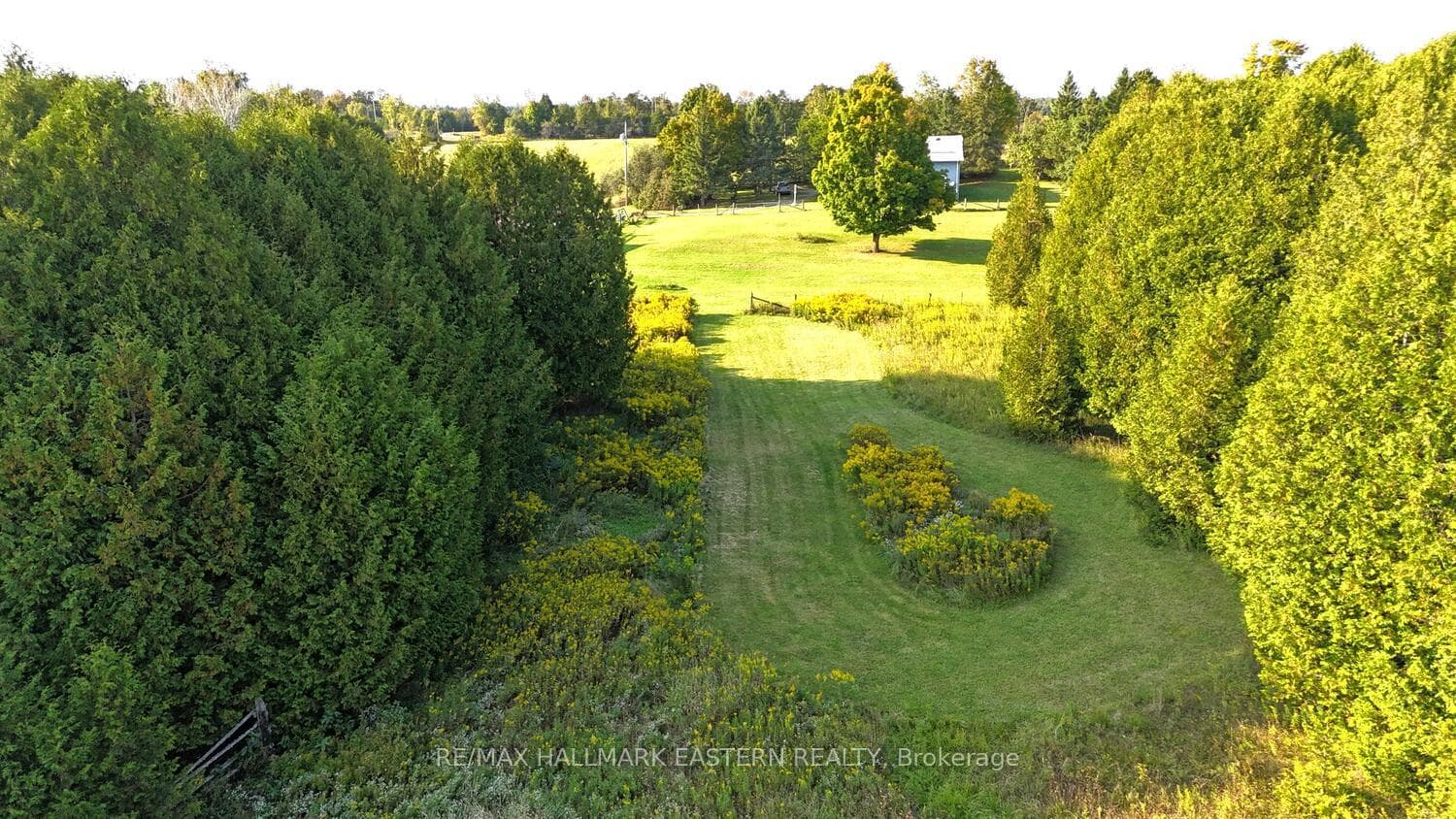 465 County Road 40 N/A photo 36
