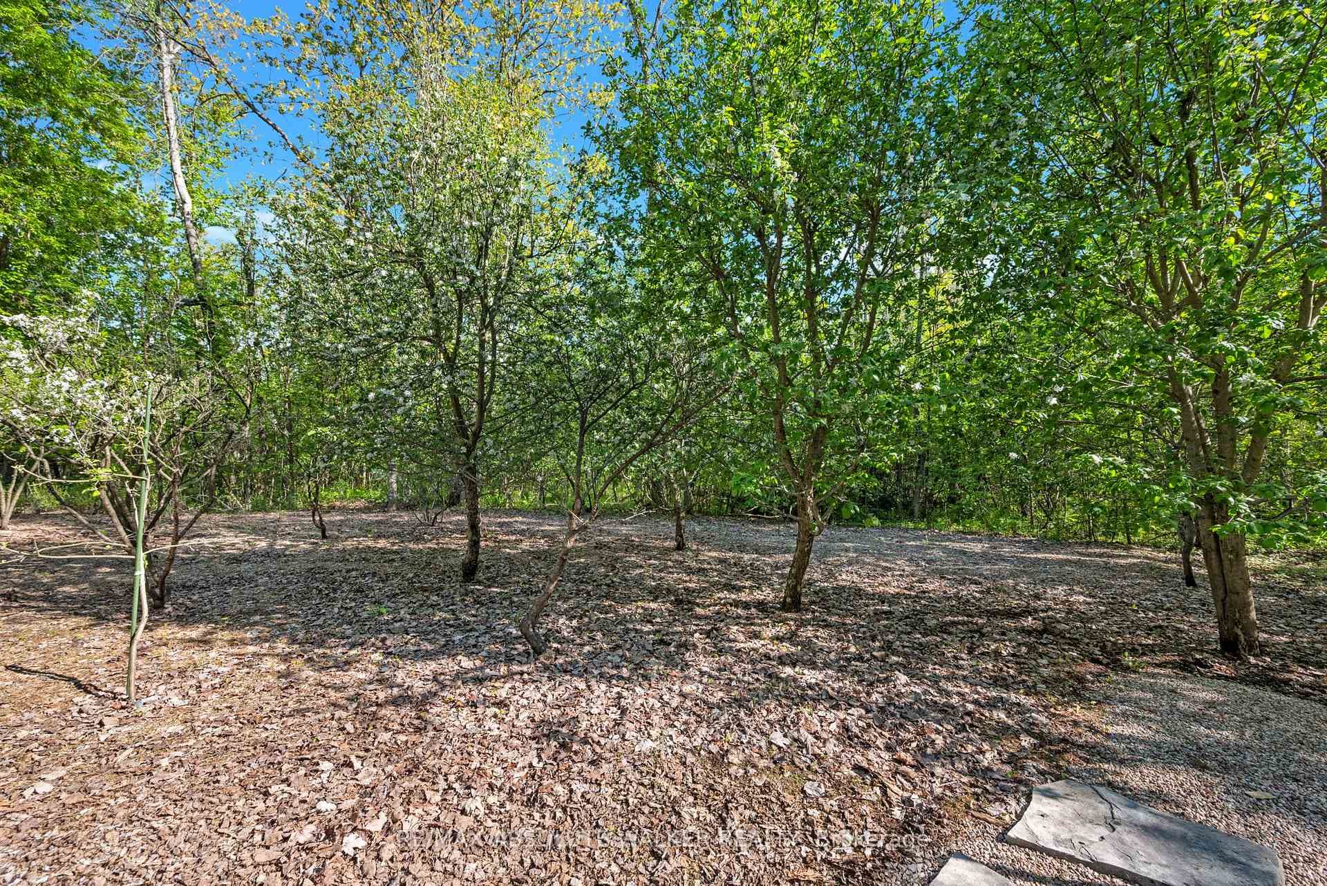 3540 Gordon Murdock Road photo 43