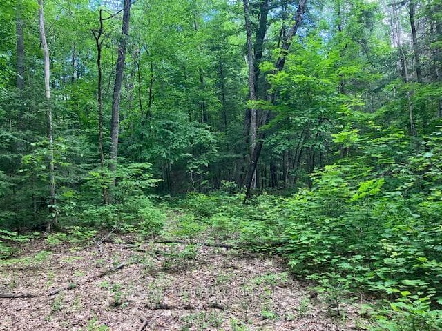 6732 County Road 620 N/A photo 6