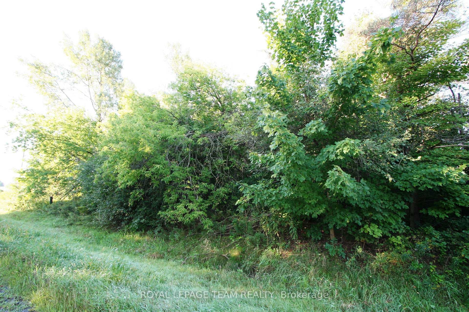 PtLt31 PLEASANT VALLEY Road photo 5