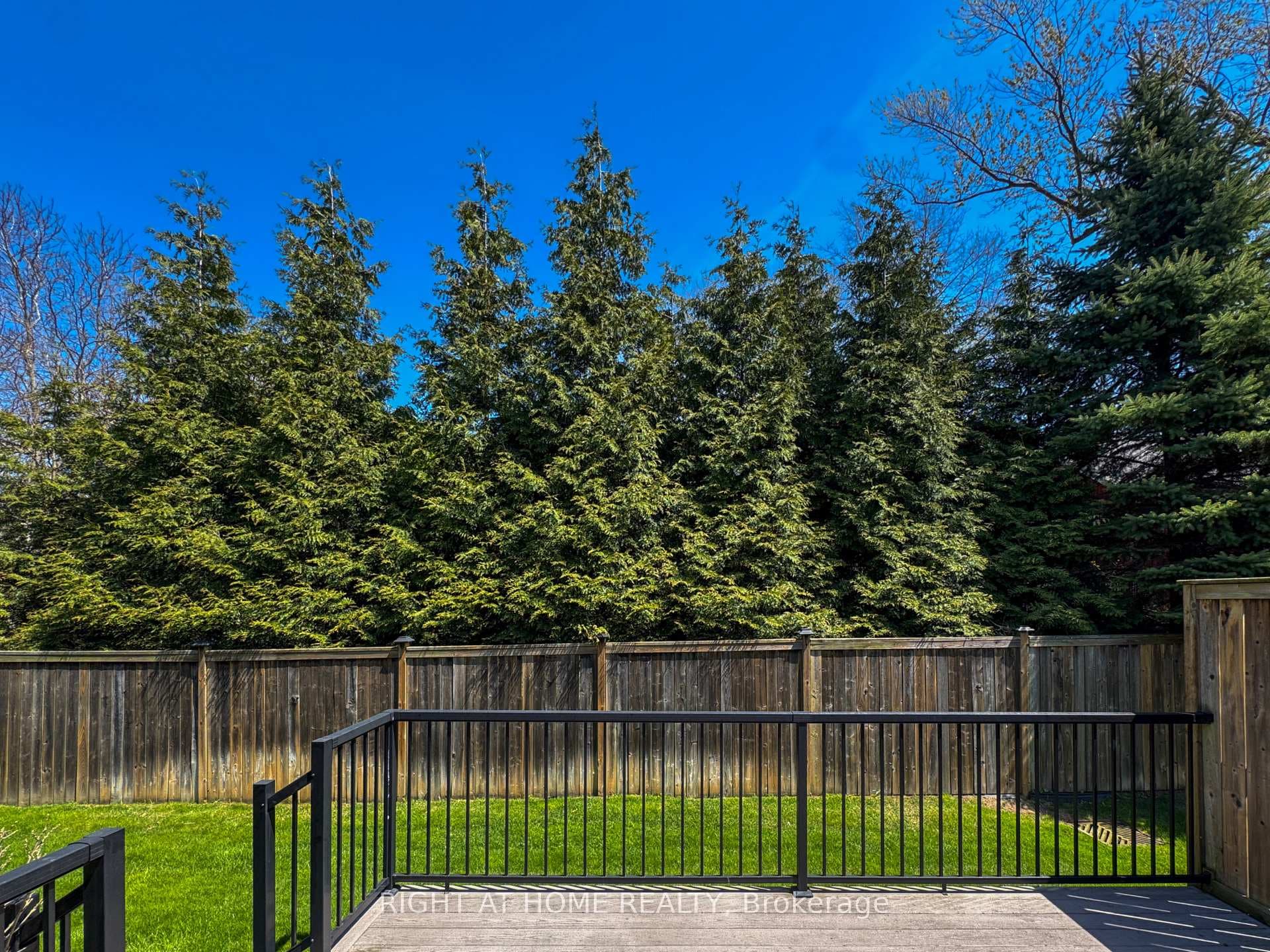 3 Cedar Drive photo 34