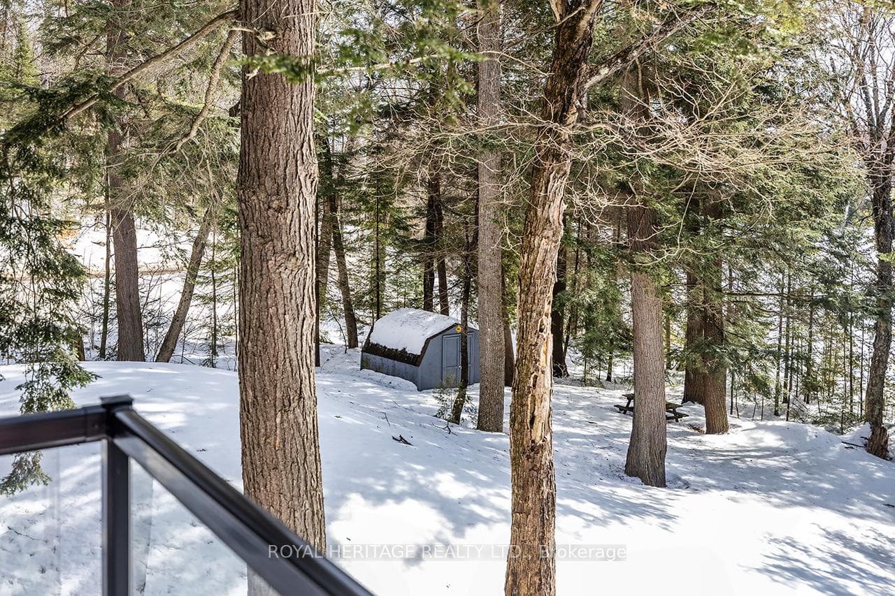 4 PINEDALE Drive photo 38