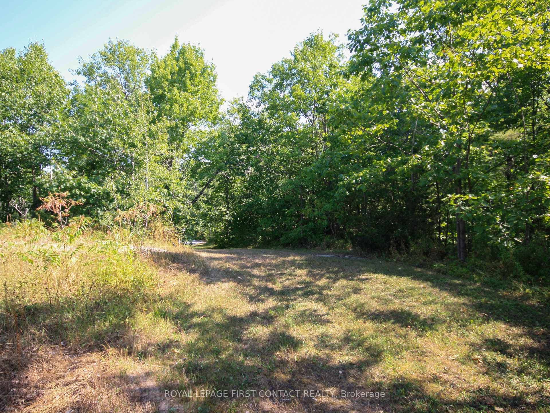 213 Birch Acres Drive photo 36