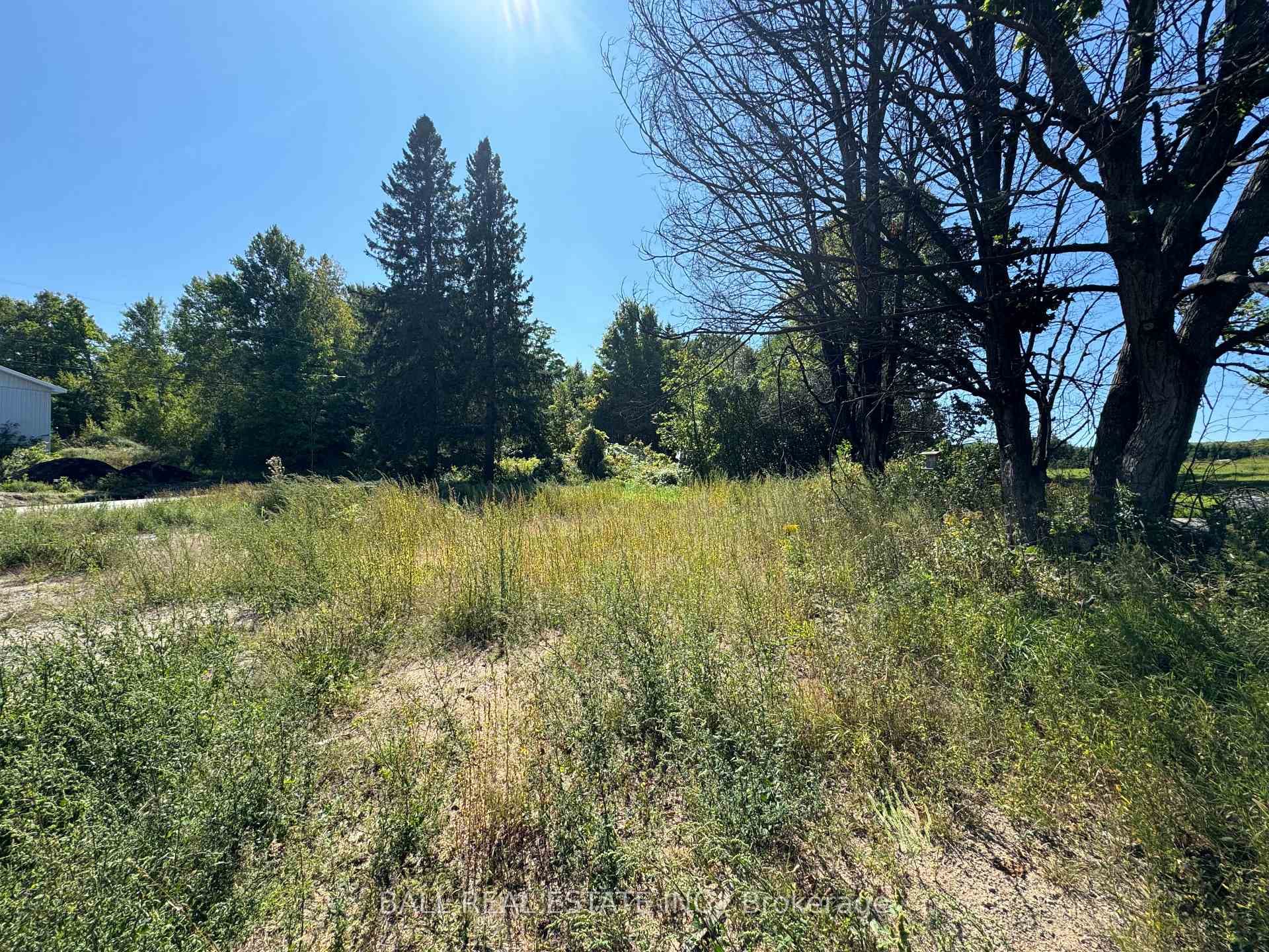 3960 Boulter Road photo 6