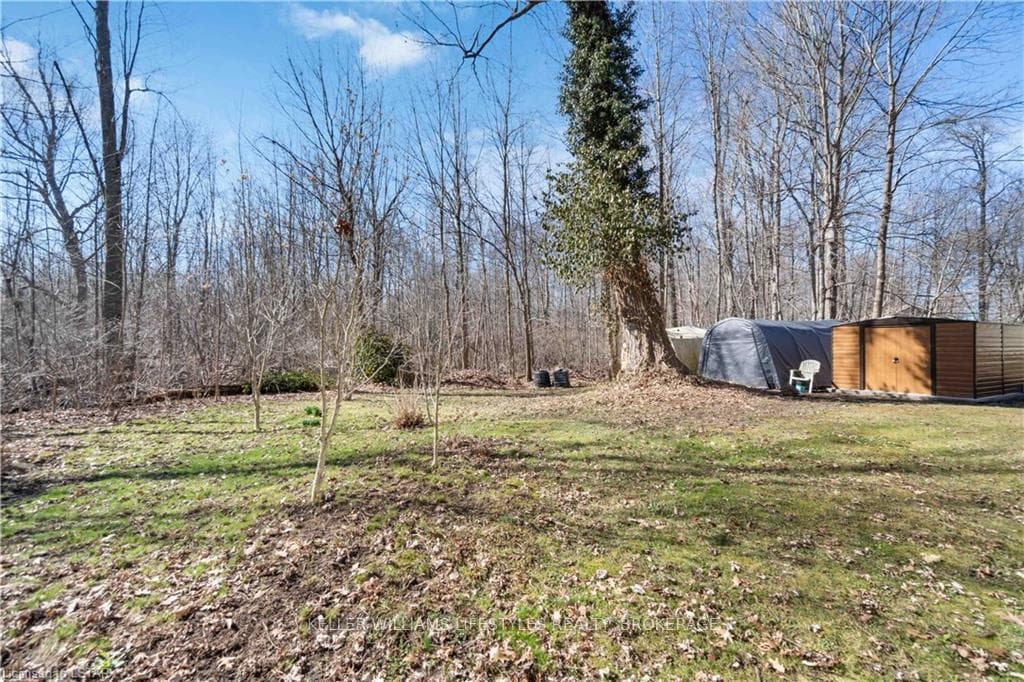 9879 RUBY Lane photo 12
