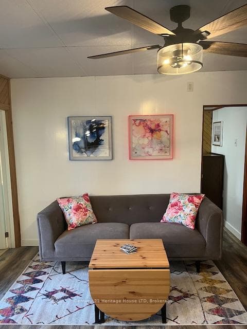 29 Elmwood Avenue photo 12