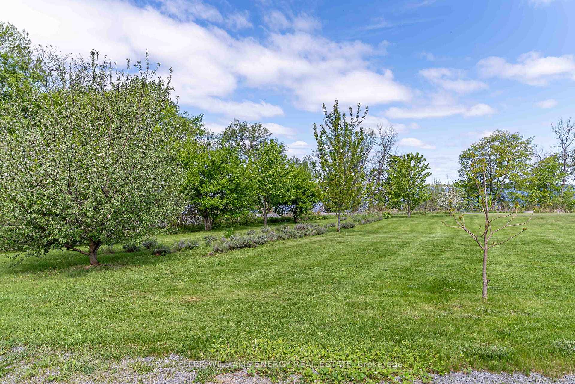 Many fruit trees & other flowering shrubs & bushes