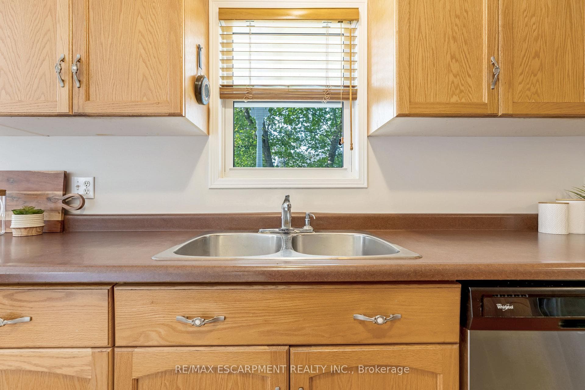 54 Dairy Drive photo 12