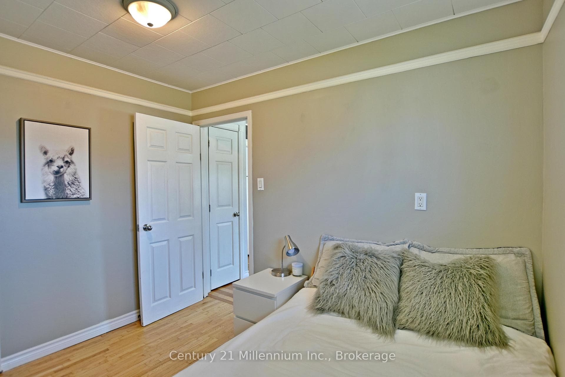 453 Birch Street photo 27