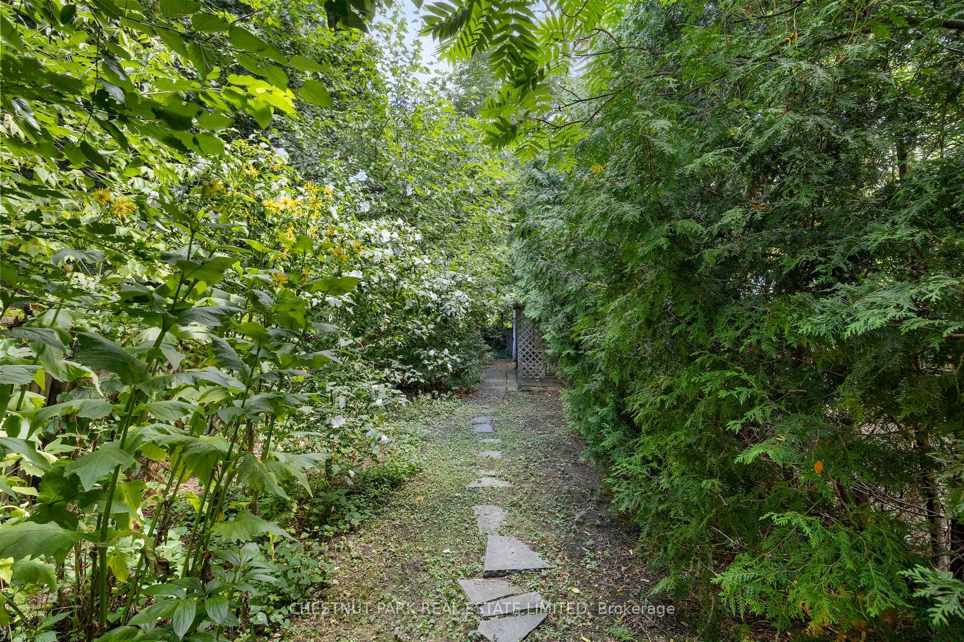 23 Edith Drive photo 39