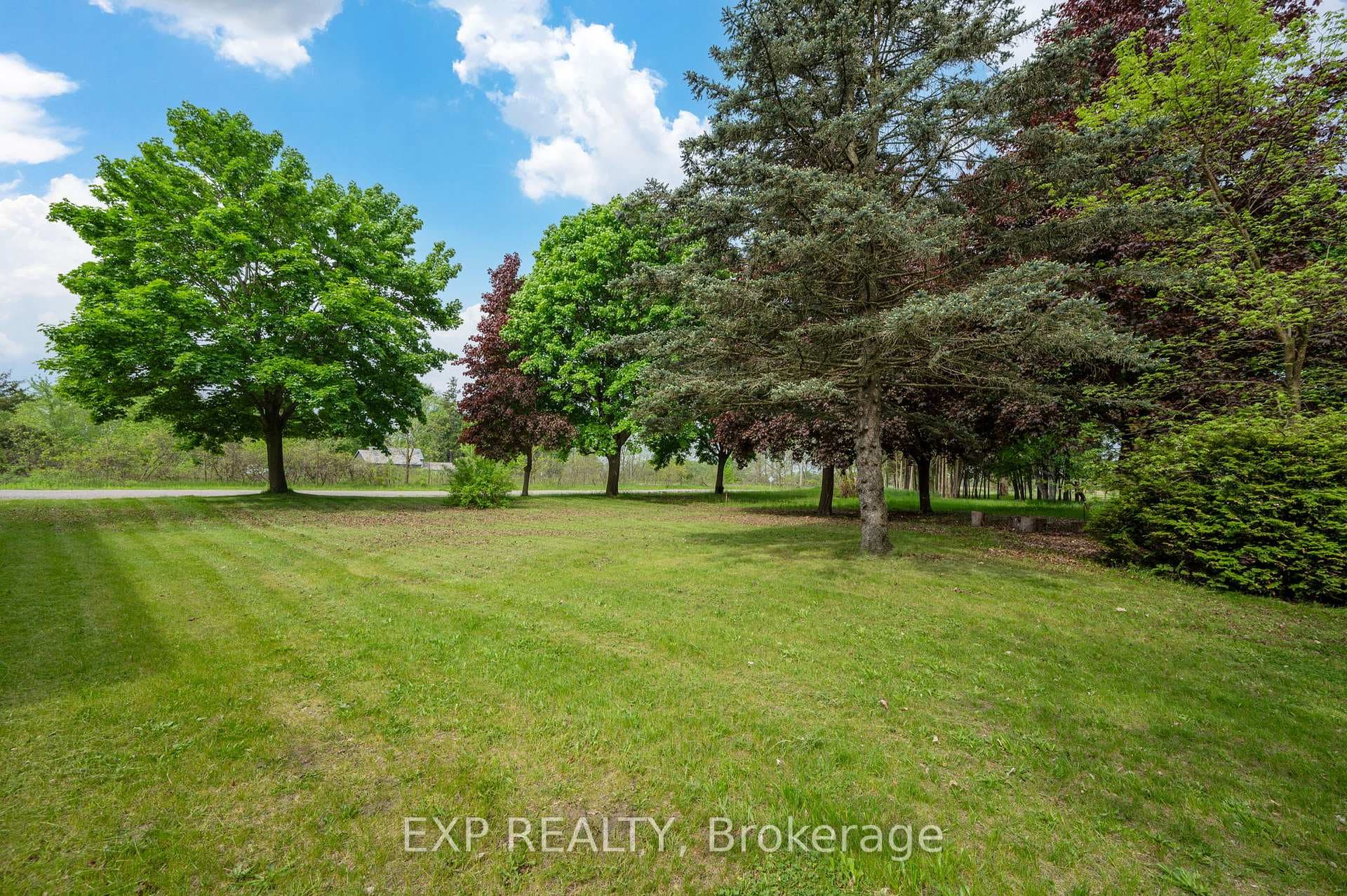 4 Joann Street photo 14