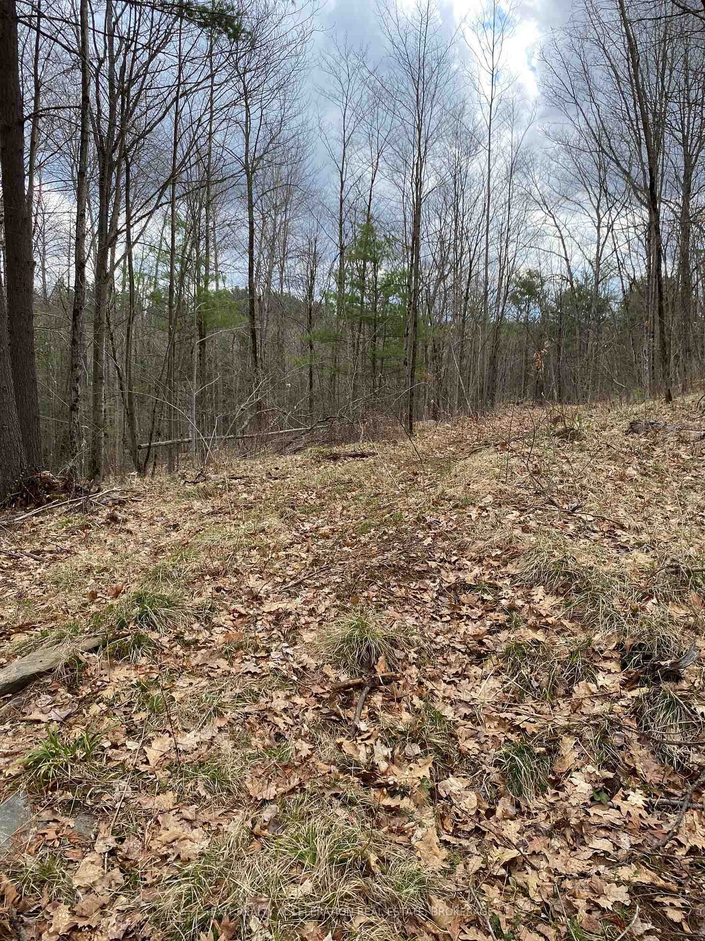 0 CROSSLAKE Road photo 4