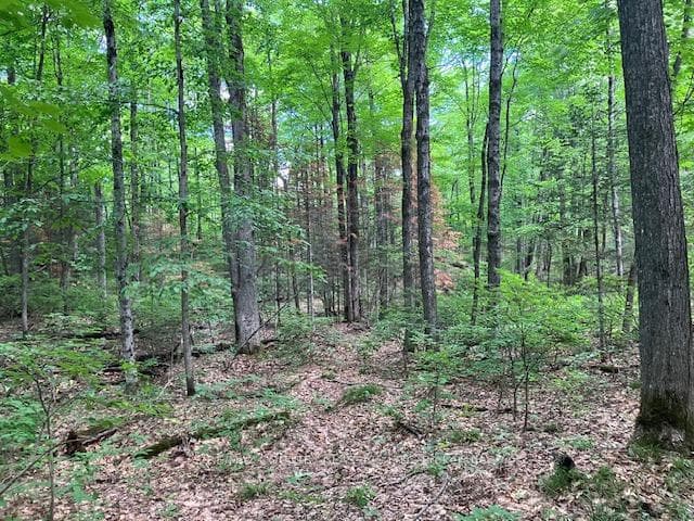 6732 County Road 620 N/A photo 9