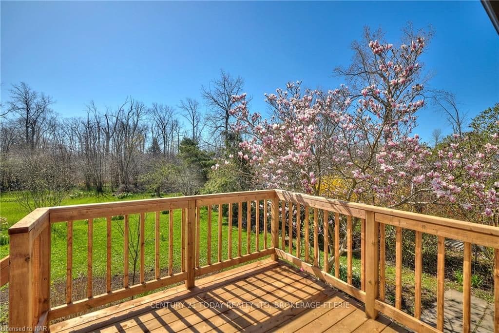 354 ALBANY Street photo 41