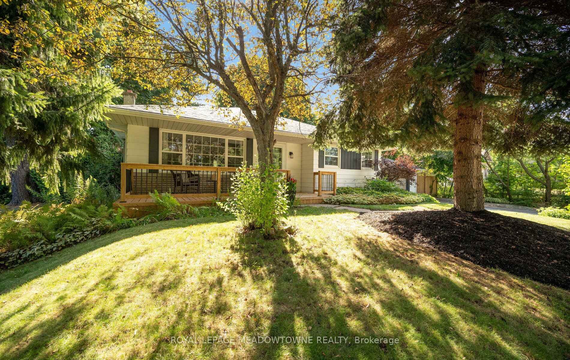 Sun filled yard