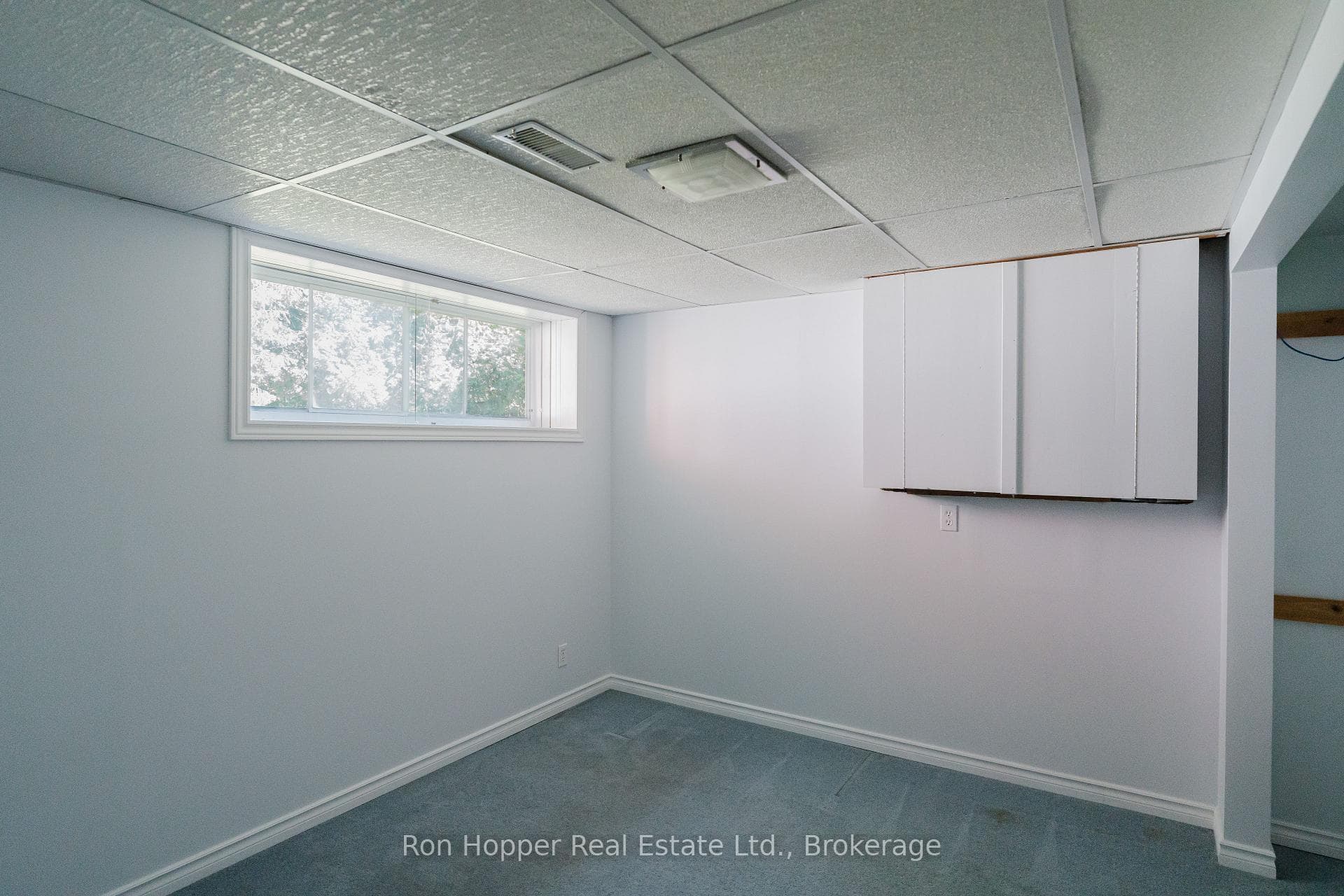 Basement Bedroom