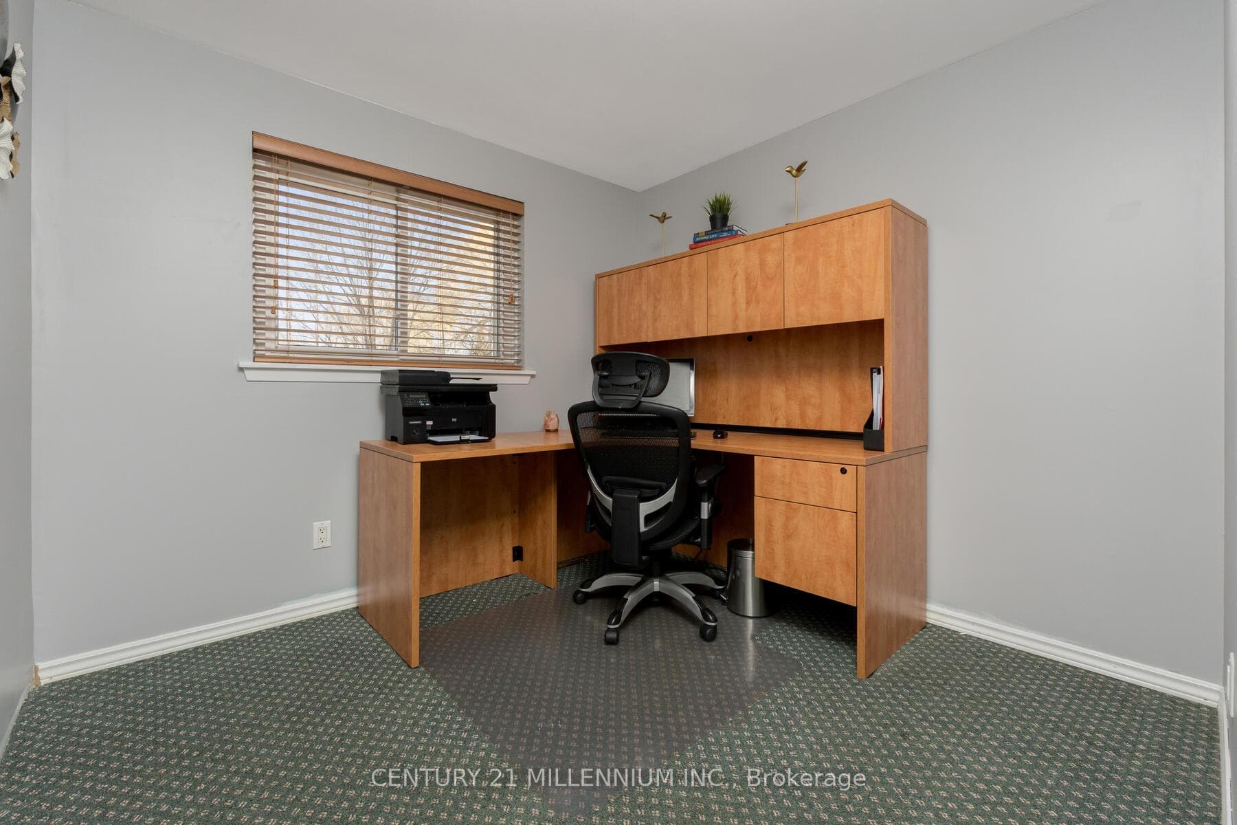 7 Deloraine Drive photo 17