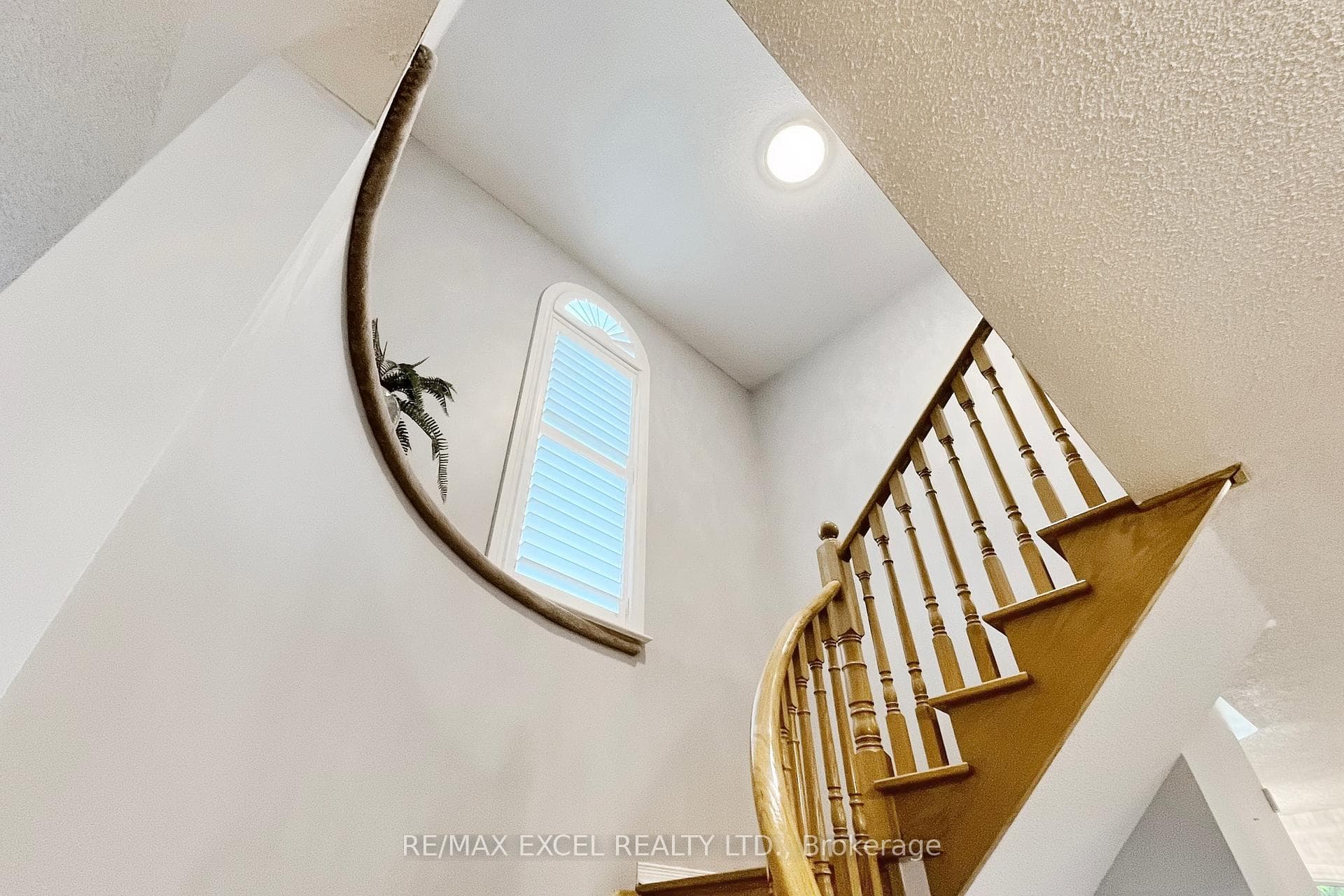 52 Lady Fern Drive photo 22