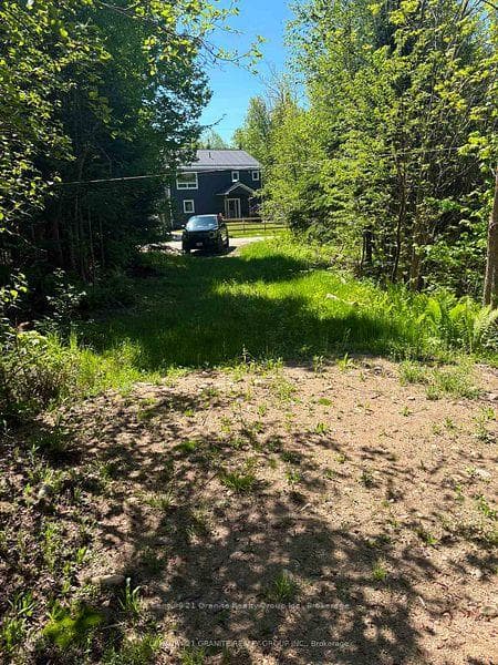 371 Albion Lake Drive photo 5