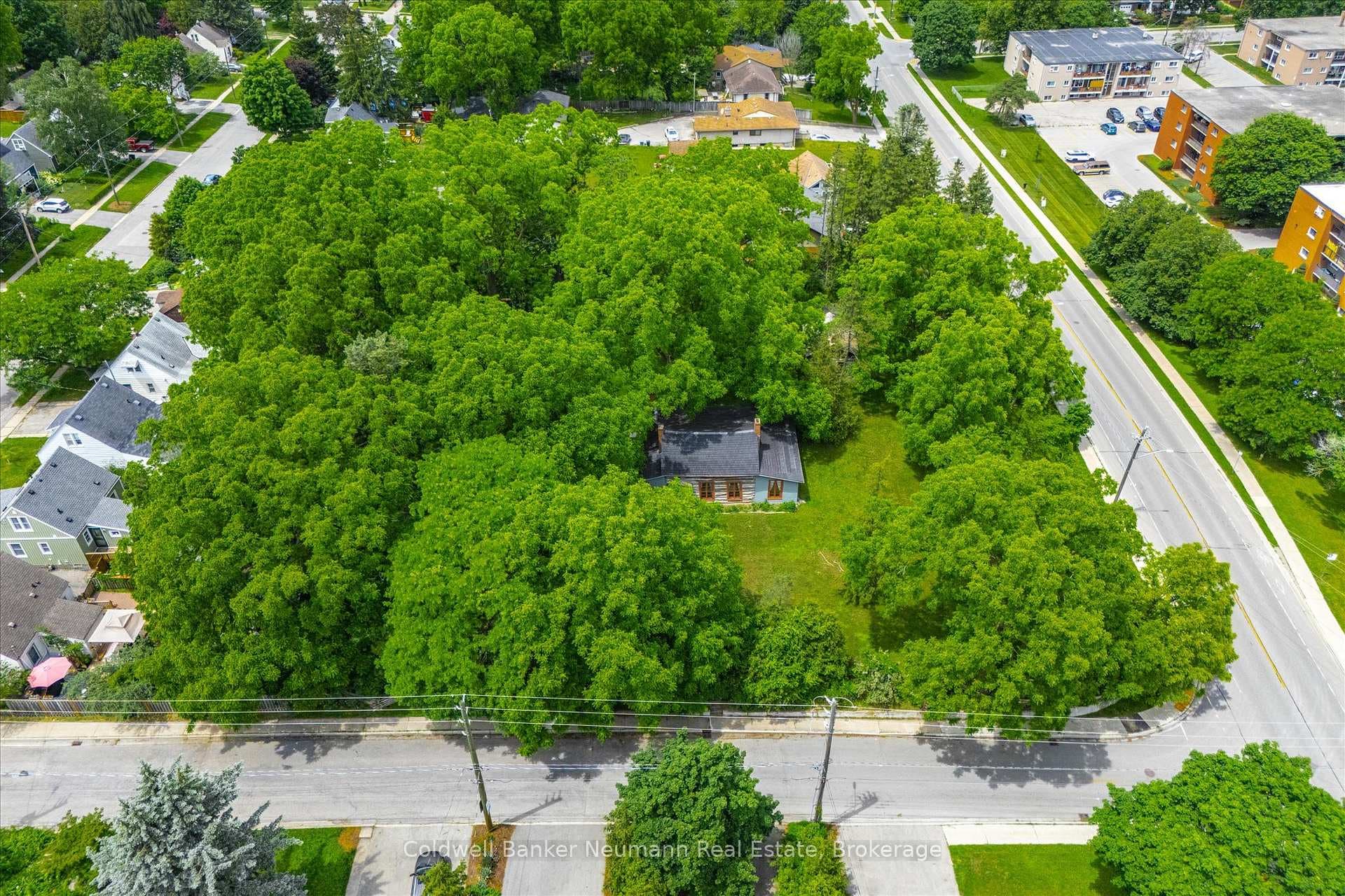 280 Palmer Street photo 44
