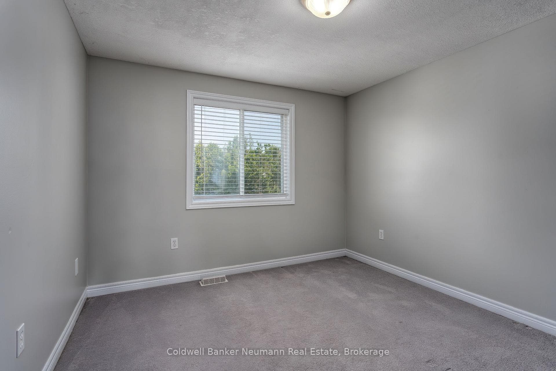 10 Mcgarr Drive photo 22