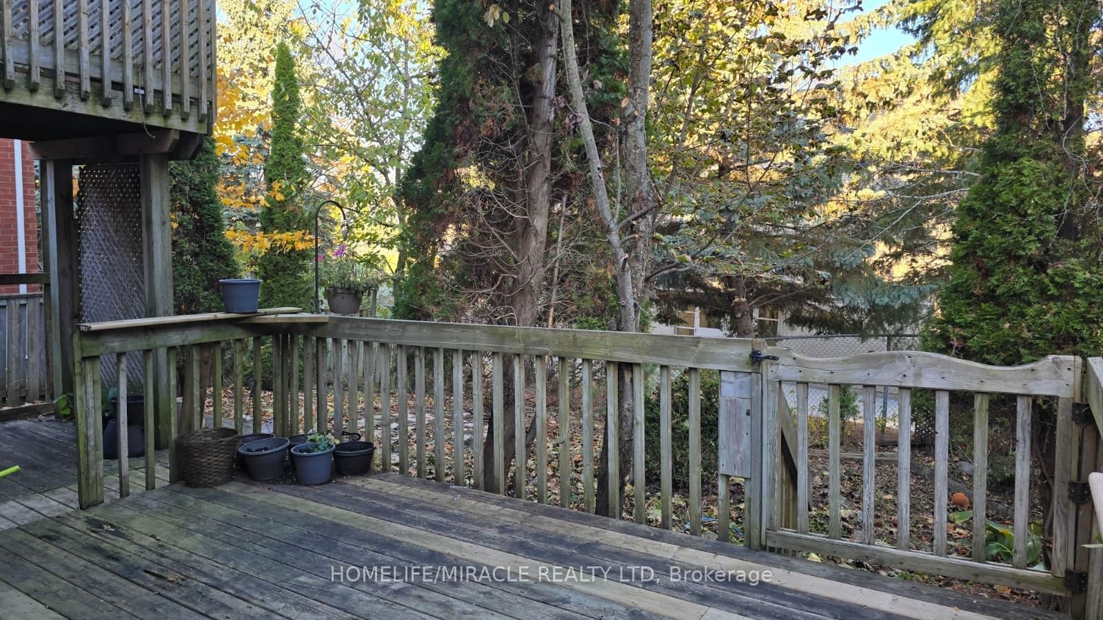 12 Gore Drive photo 24
