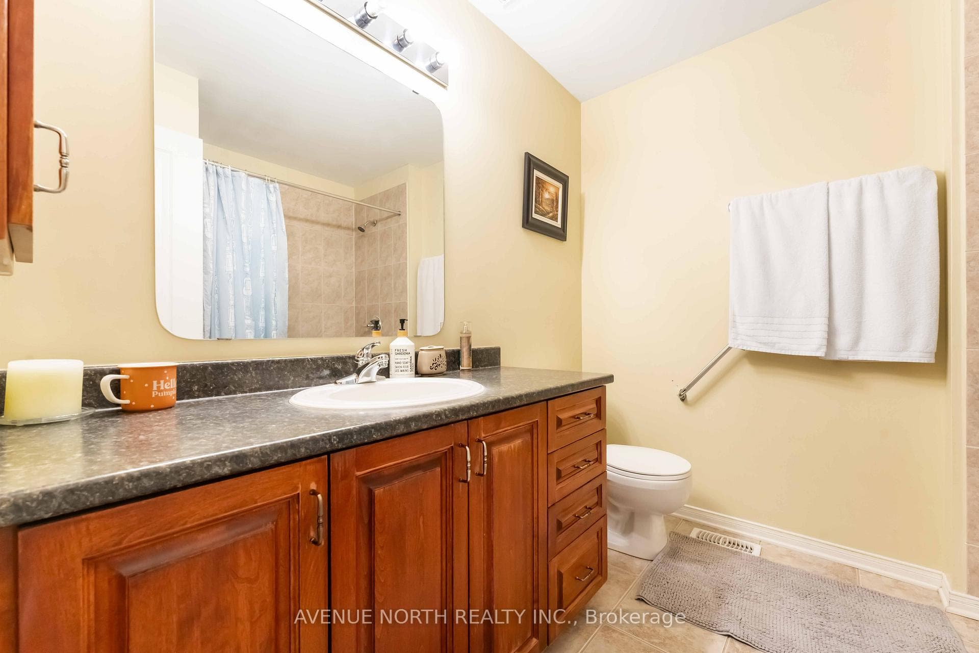 23 Hearthstone Place photo 22