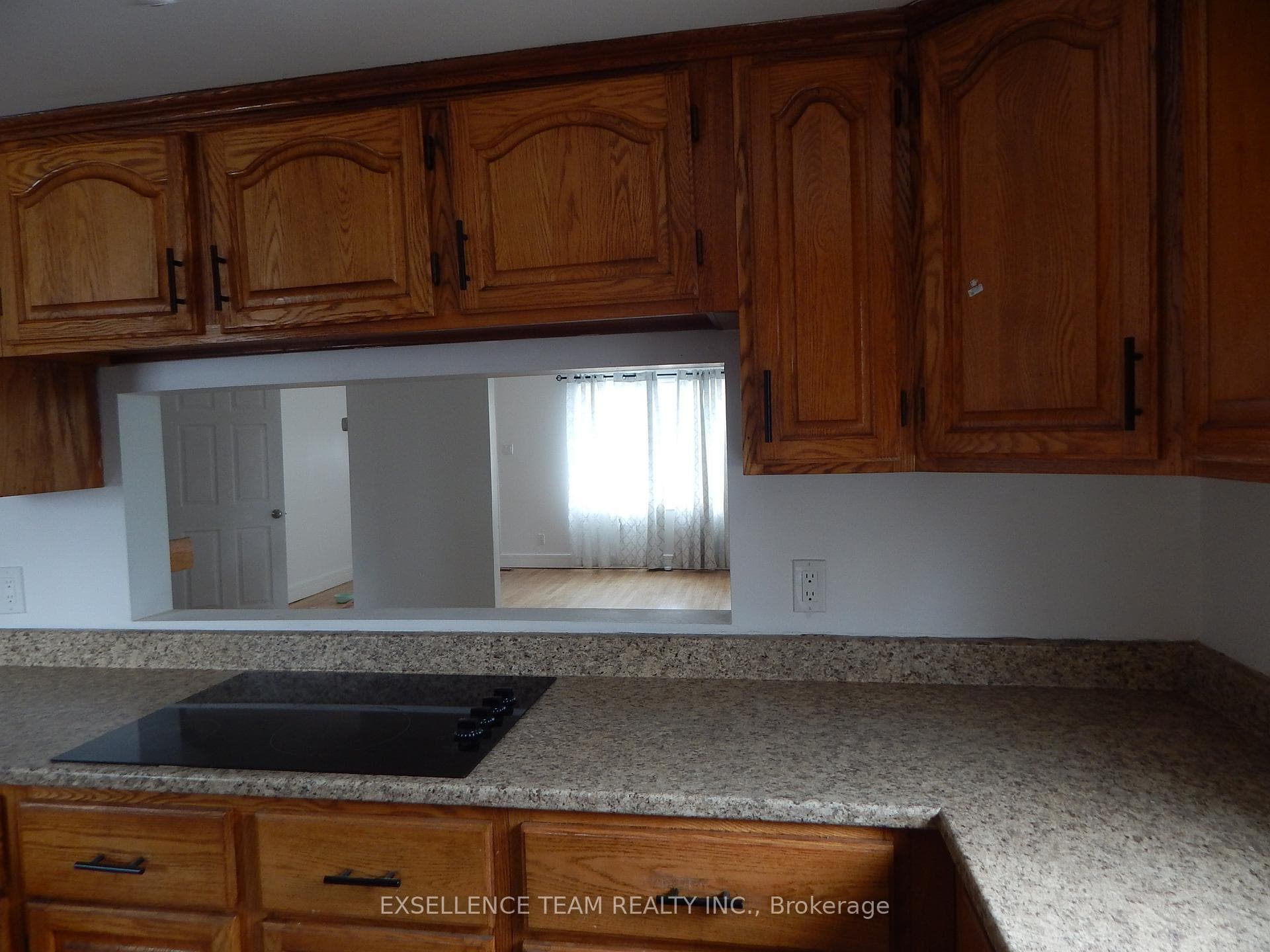 107 Louisa Street photo 6