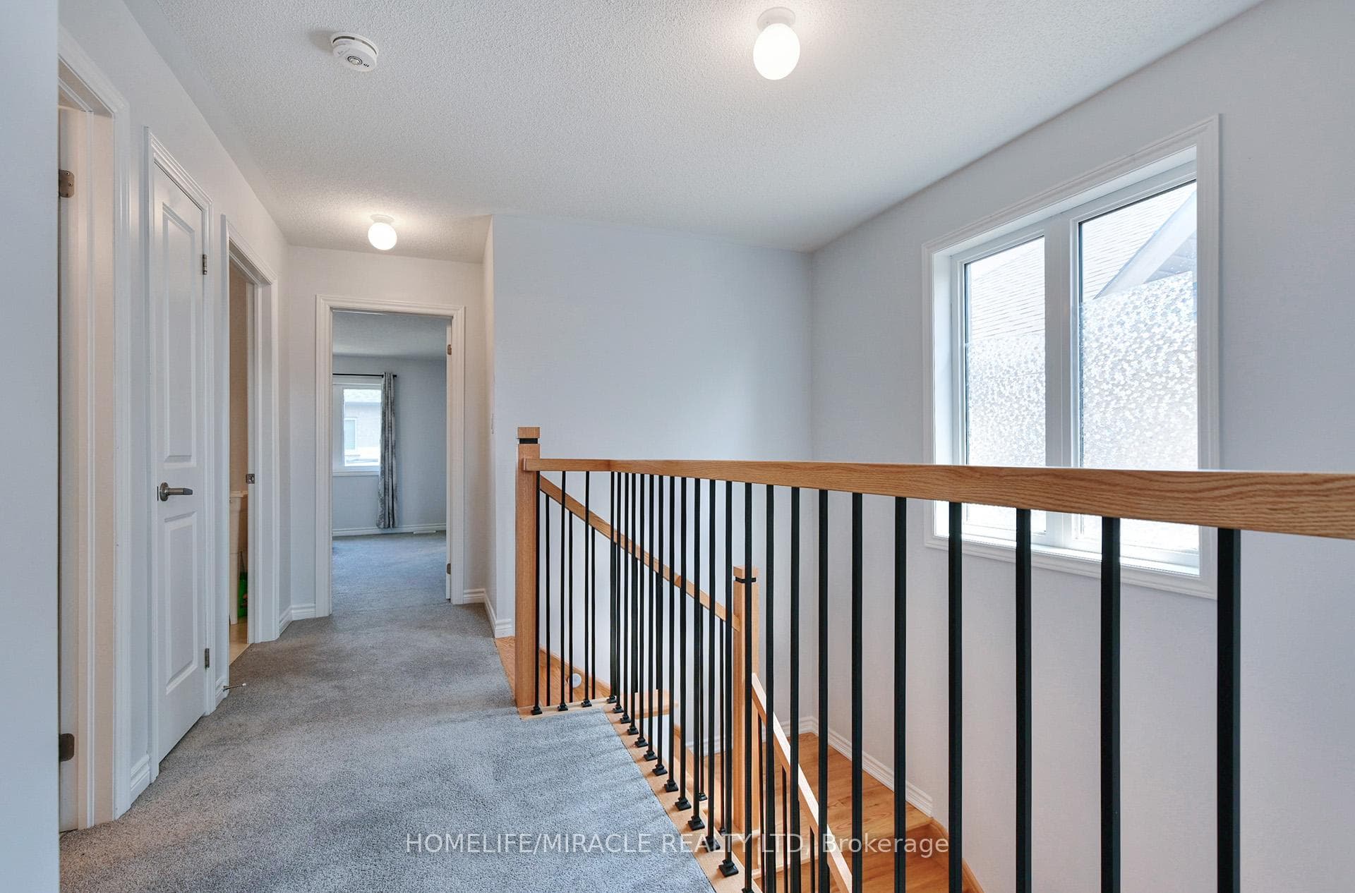 2419 Angora Street photo 16