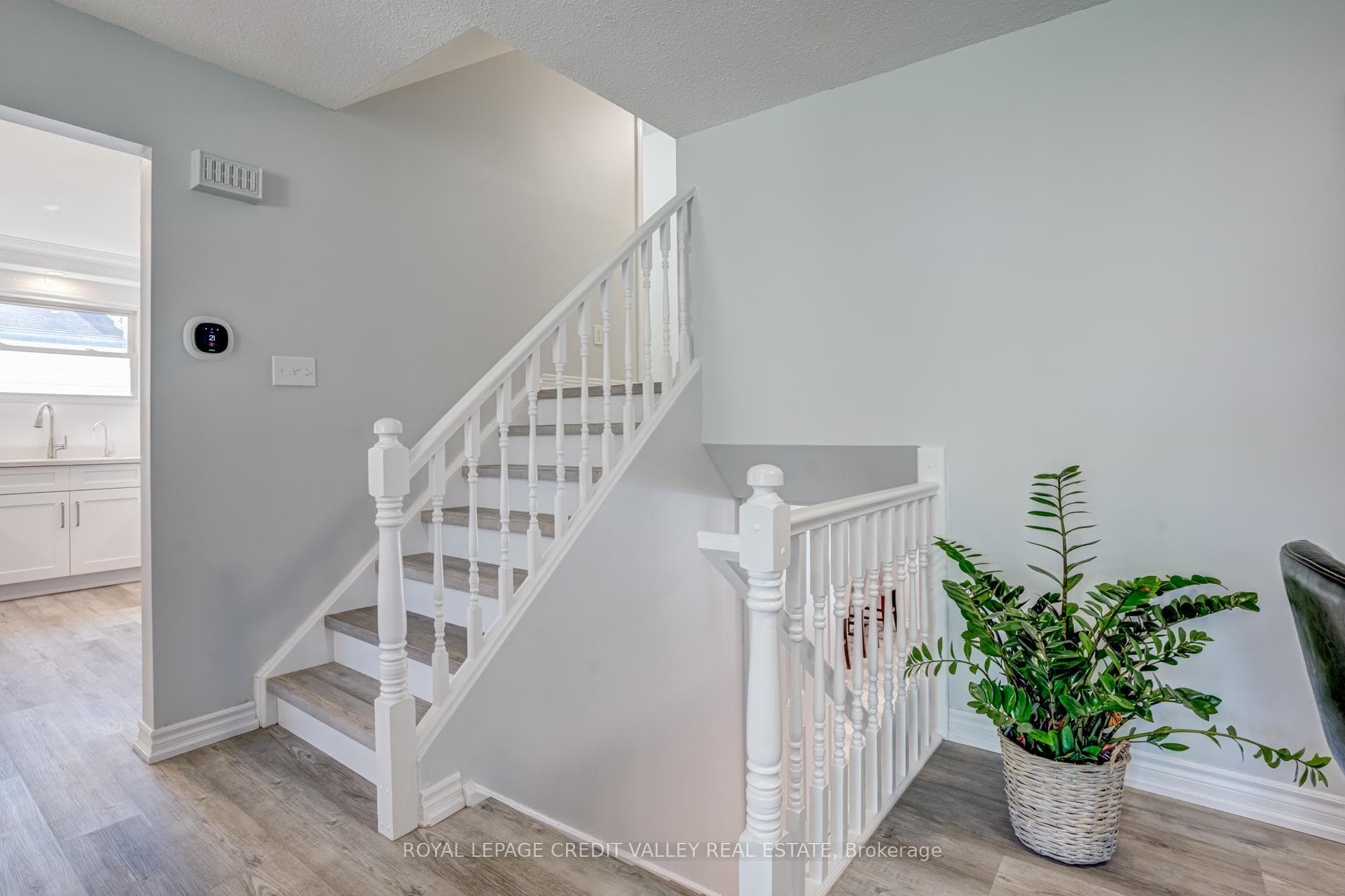 33 Briarlea Road photo 20