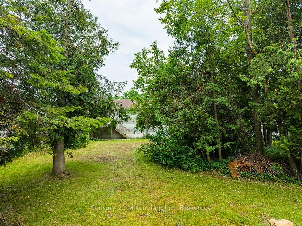 46 Royal Beech Drive photo 39