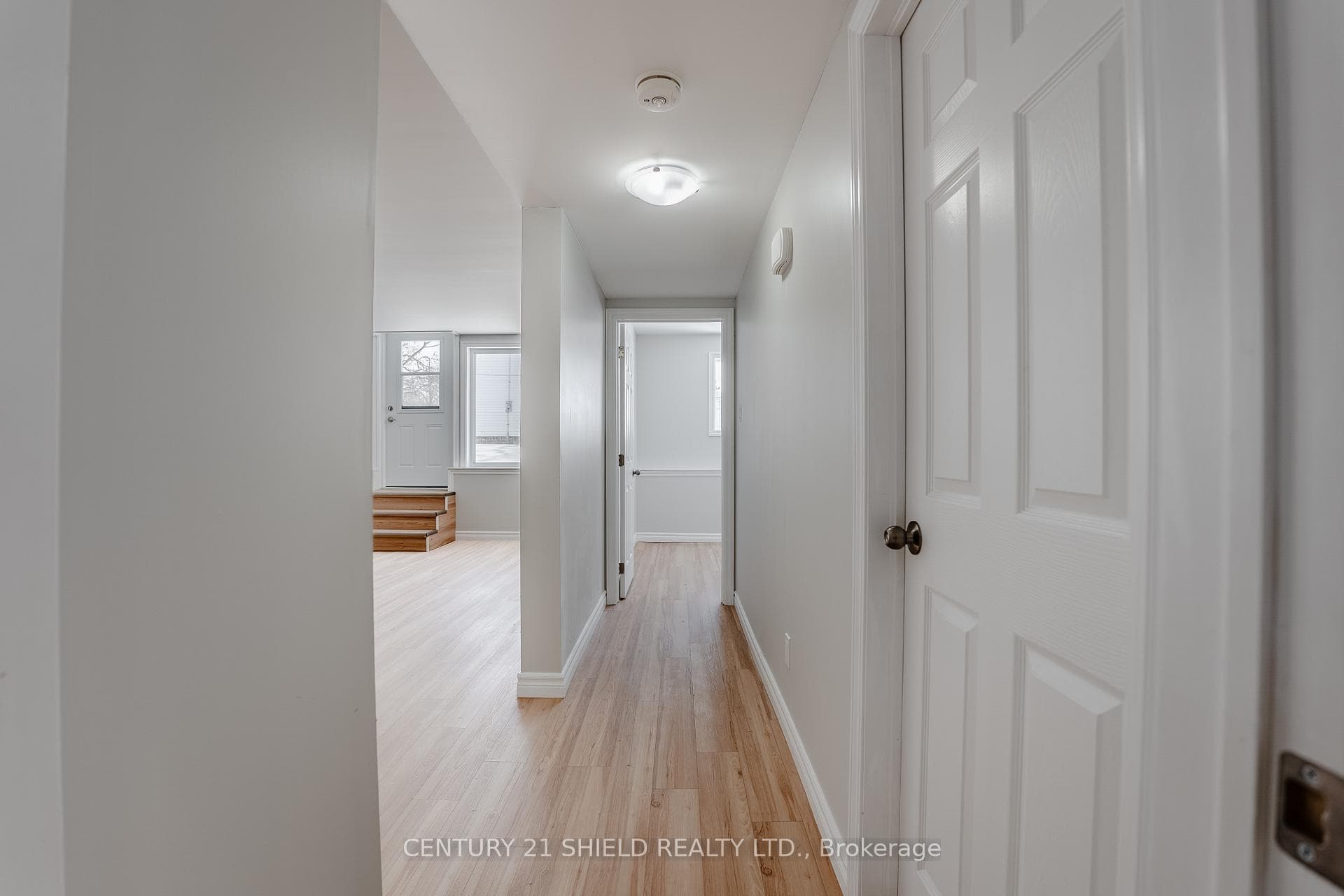 7 William Street photo 36