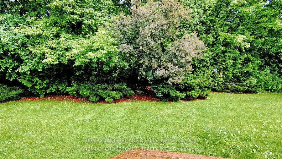 19 Granada Court photo 37