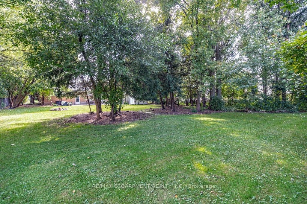 11 Garwood Avenue photo 37