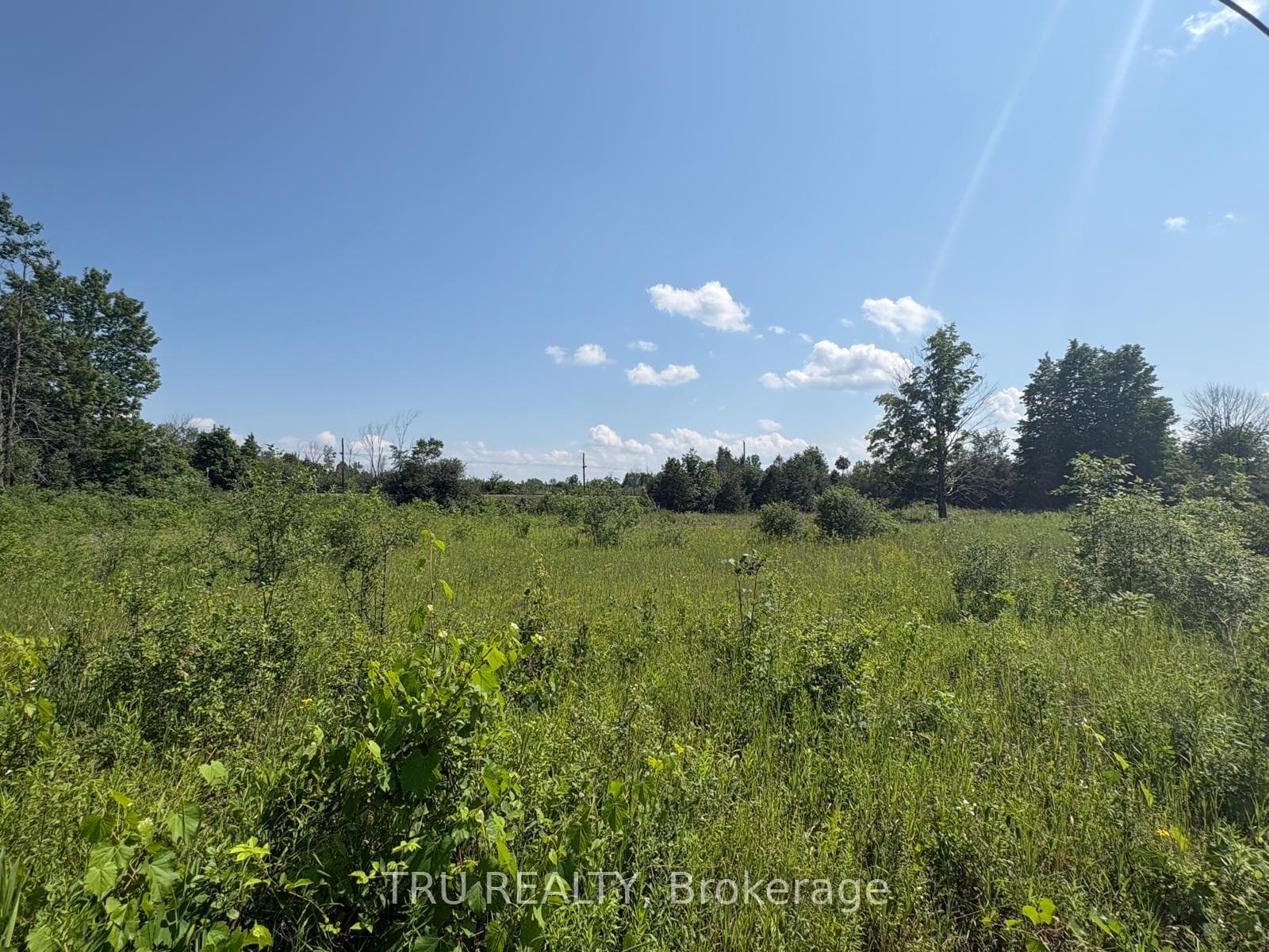 394 Scotch Line Road photo 8