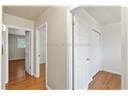 31 Sycamore Street photo 11