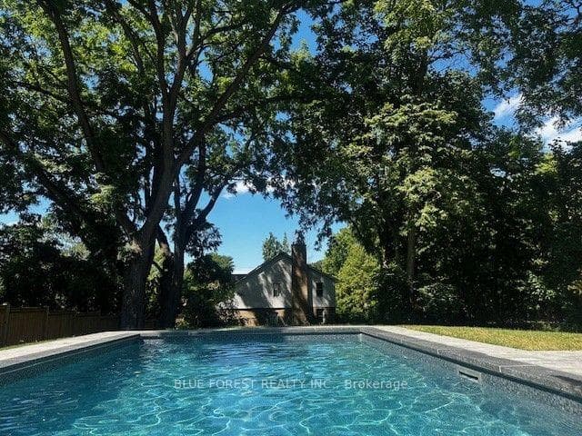 Canopy of Trees Covering the Rear Yard