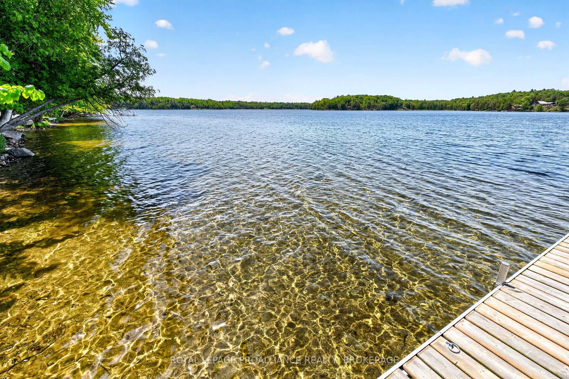 58 Lower Lake Lane photo 45