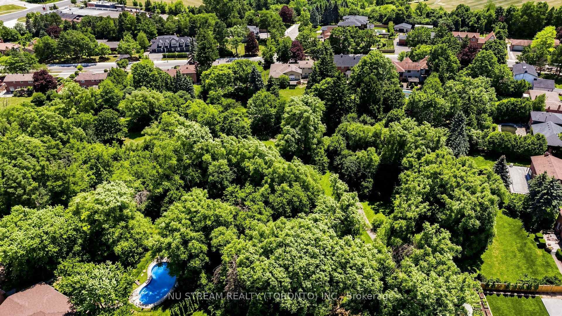 20 Blackforest Drive photo 32