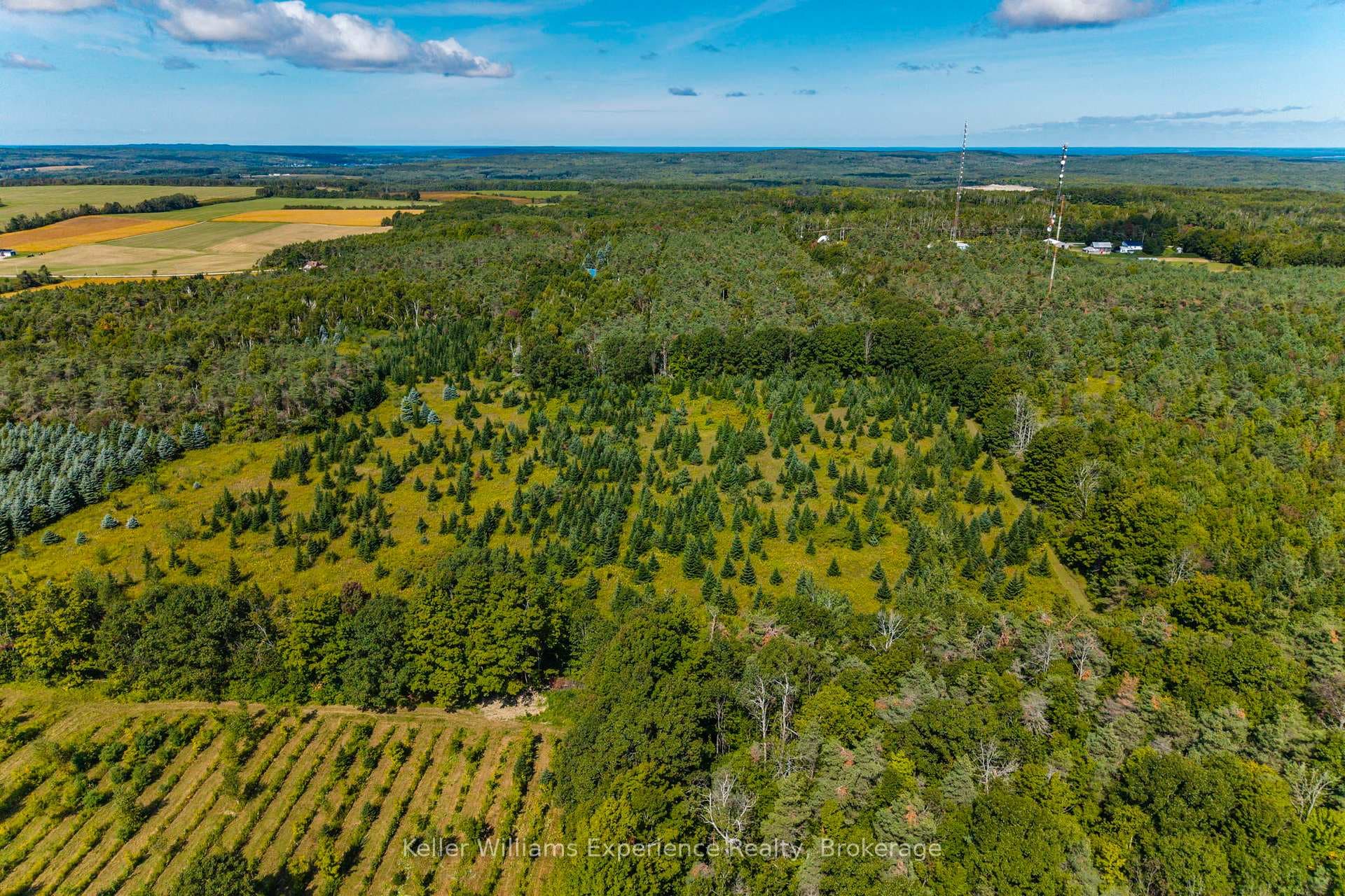 257 15 Concession photo 45