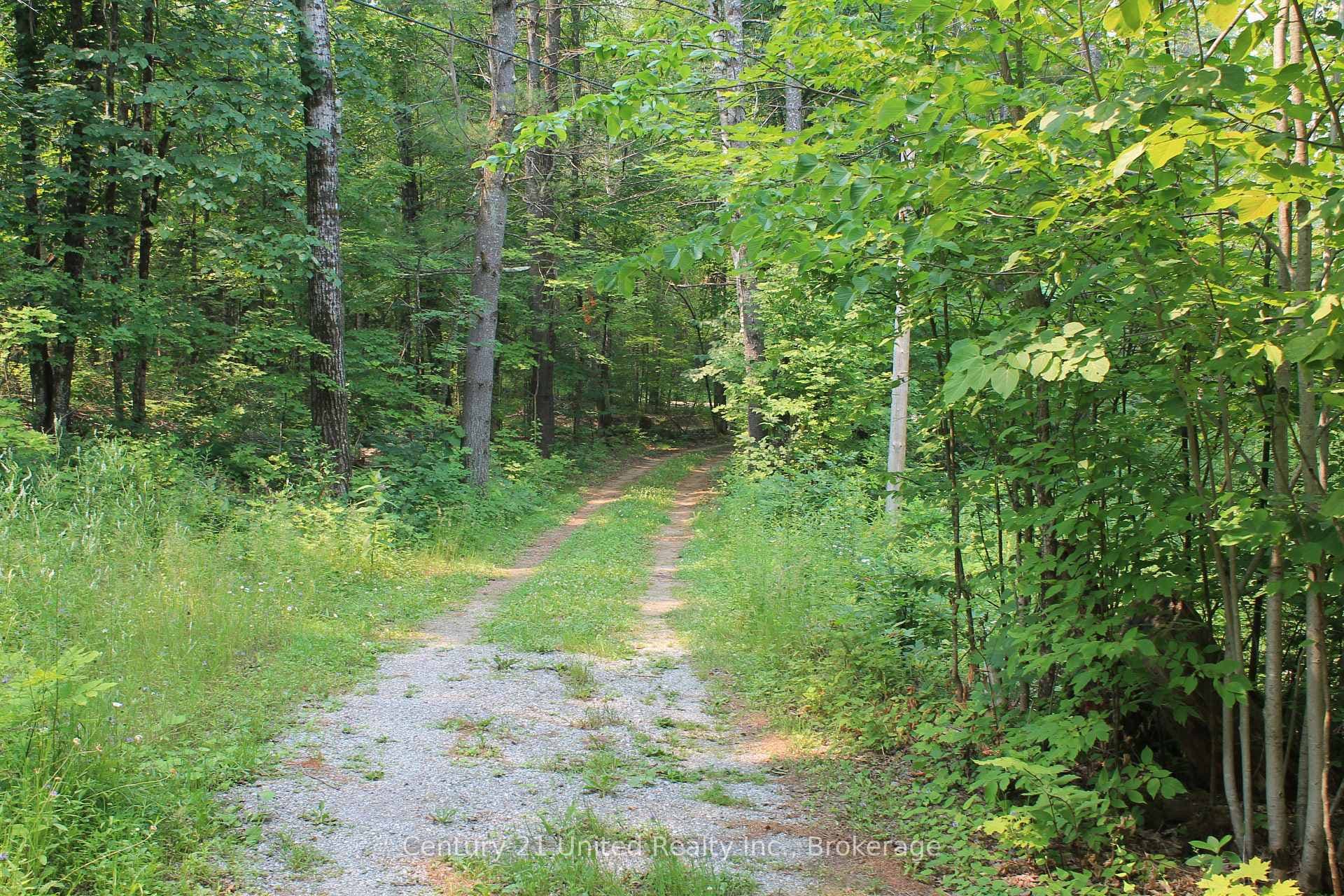 47 McKee Avenue photo 23