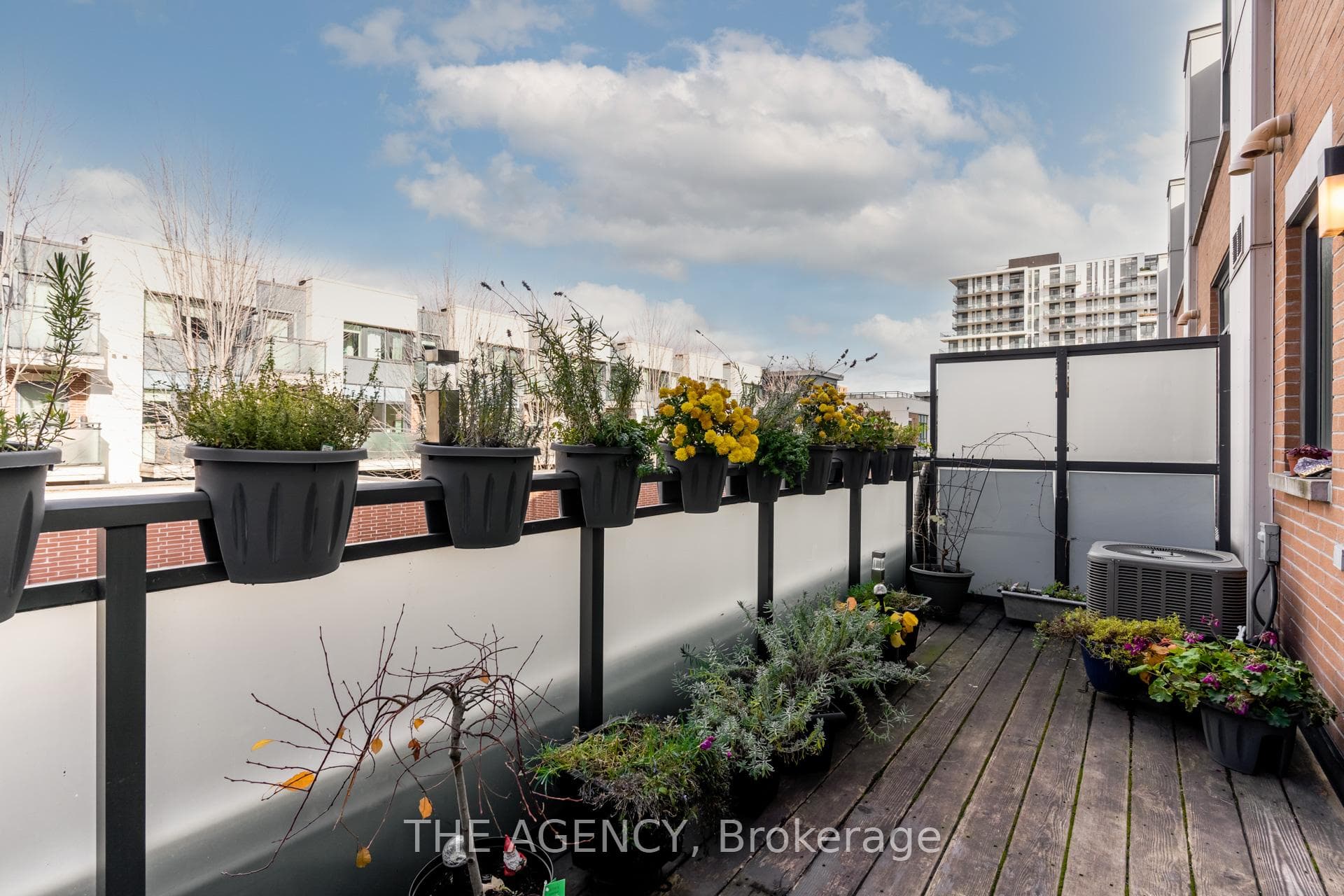20 Cole Street photo 11