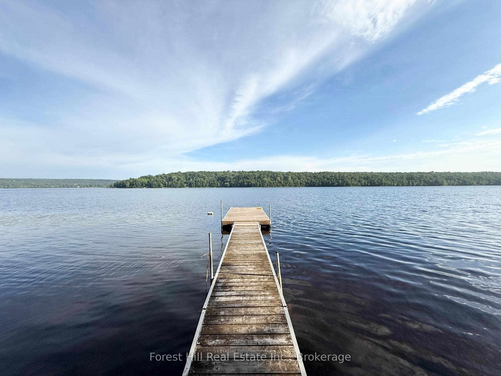 935 Limberlost Road photo 12