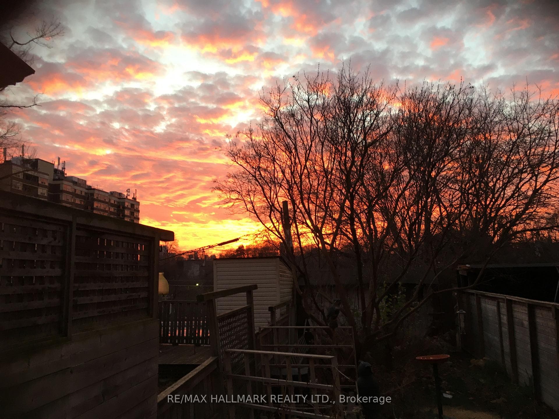 454 Jones Avenue photo 15